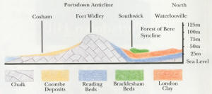 Geology of Portsdwon diagram